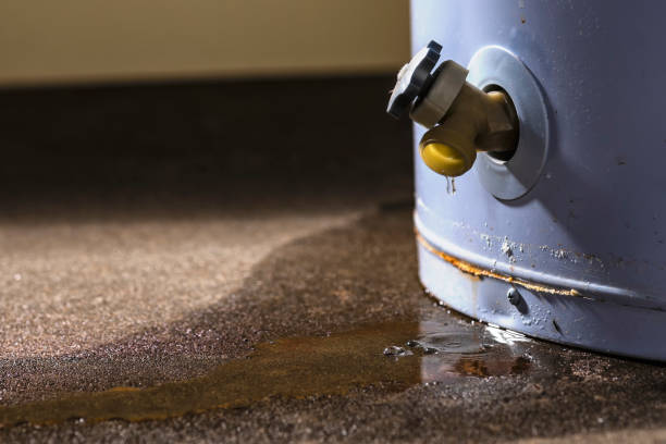 Best Water damage repair service  in Clarksville, TN