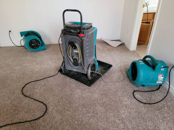 Best Mold removal after water damage  in Clarksville, TN