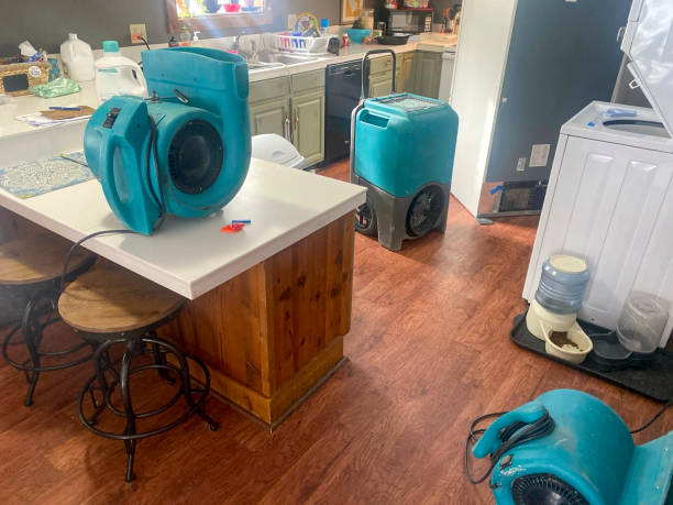 Best Commercial water damage restoration  in Clarksville, TN