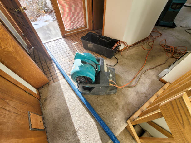  Clarksville, TN Water damage restoration Pros
