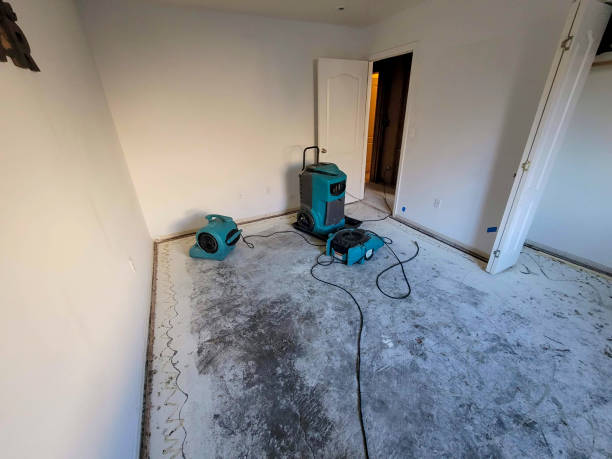 Best Mold removal after water damage  in Clarksville, TN