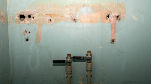 Best Water damage restoration company  in Clarksville, TN