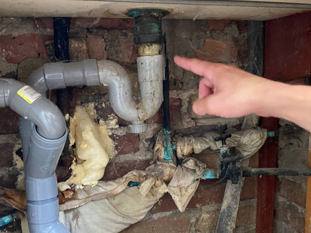 Best Water damage contractors near me  in Clarksville, TN